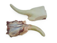 imagem de Rabo